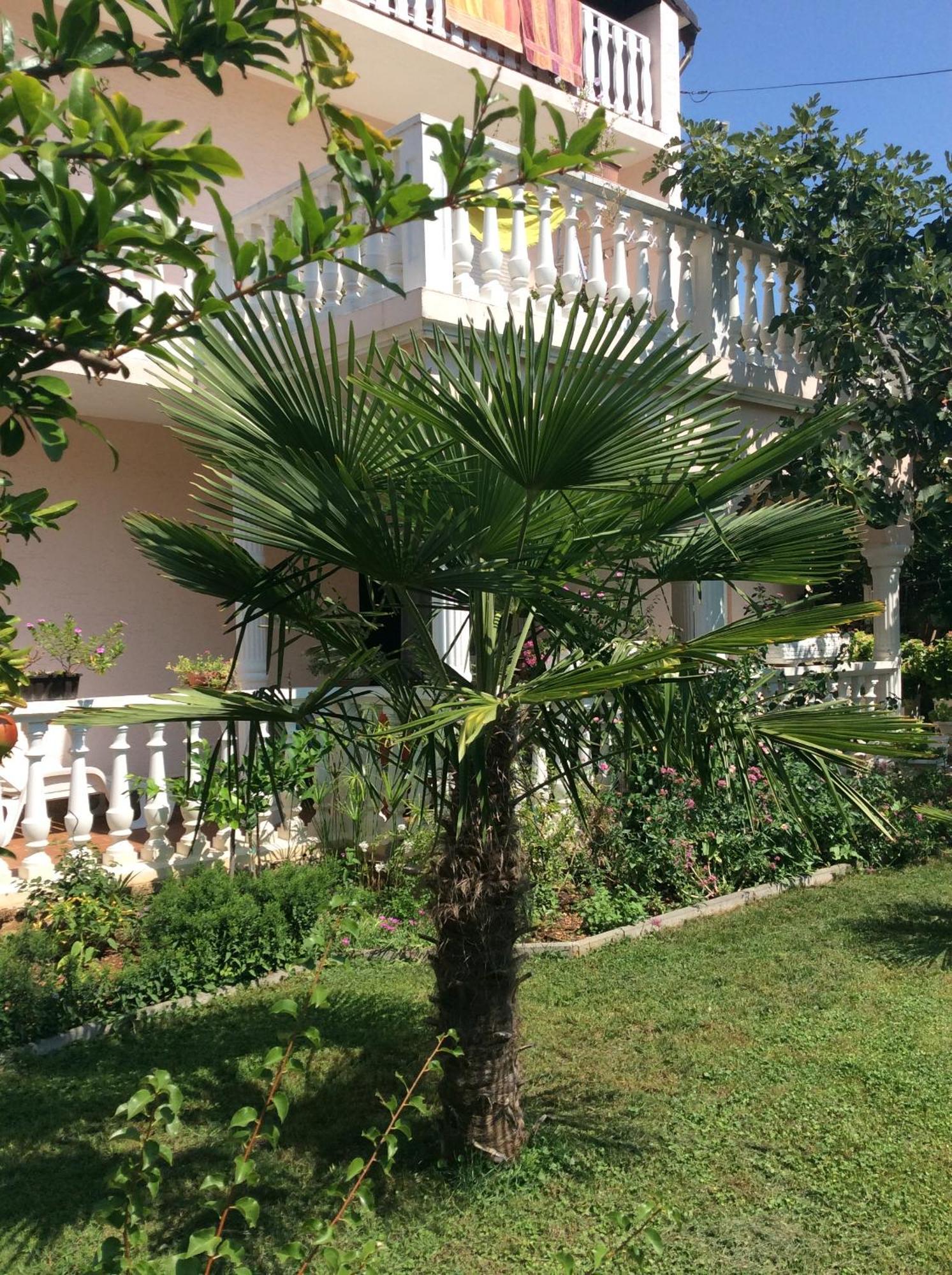 Villa Chiara Vodice Exteriör bild