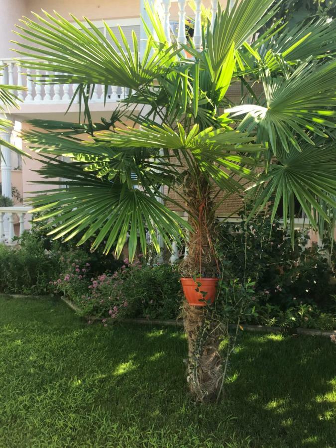 Villa Chiara Vodice Exteriör bild